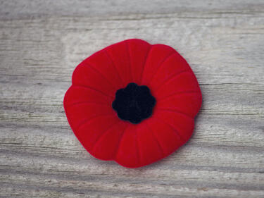 Remembrance Day poppy